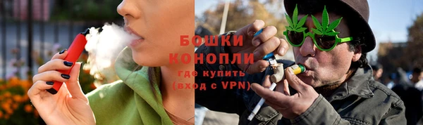 молекула духа Бронницы