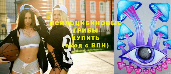 молекула духа Бронницы