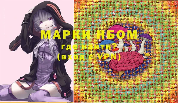 молекула духа Бронницы